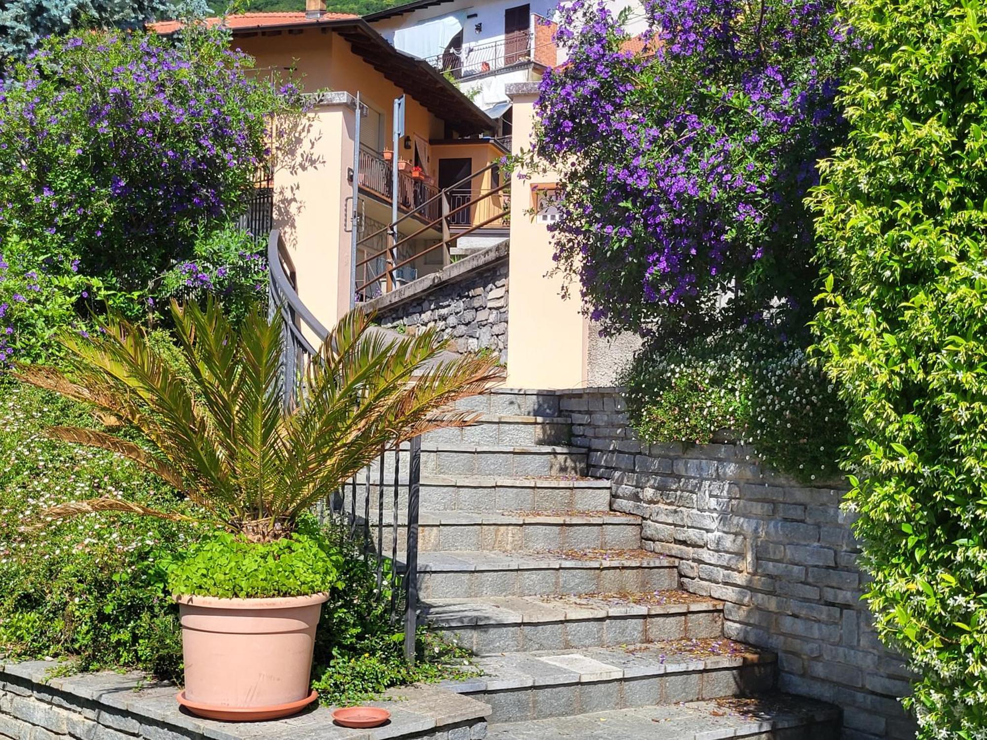 Casa Intignano - Appartamento Con Terrazzo Vista Lago Тремецо Екстериор снимка