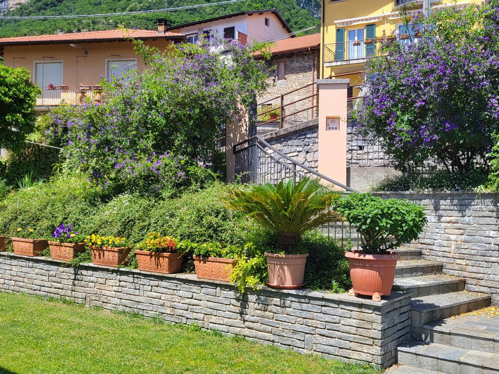 Casa Intignano - Appartamento Con Terrazzo Vista Lago Тремецо Екстериор снимка
